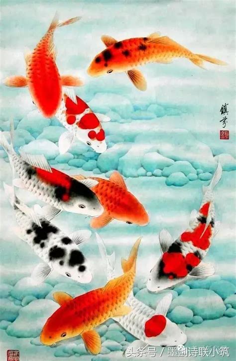 鯉魚 寓意|【鯉魚寓意】鯉躍龍門化吉祥 錦鯉躍然寓意深